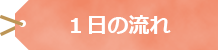 1日の流れ